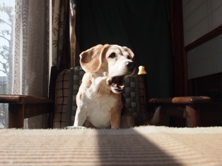 春の陽射しの中で (3)