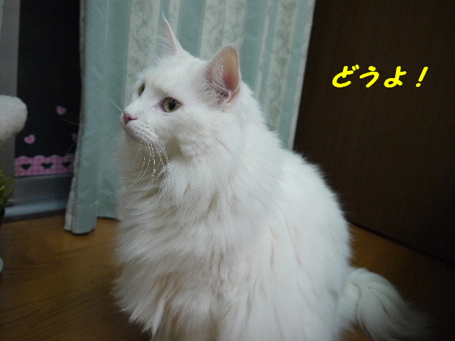 P1250630.JPG