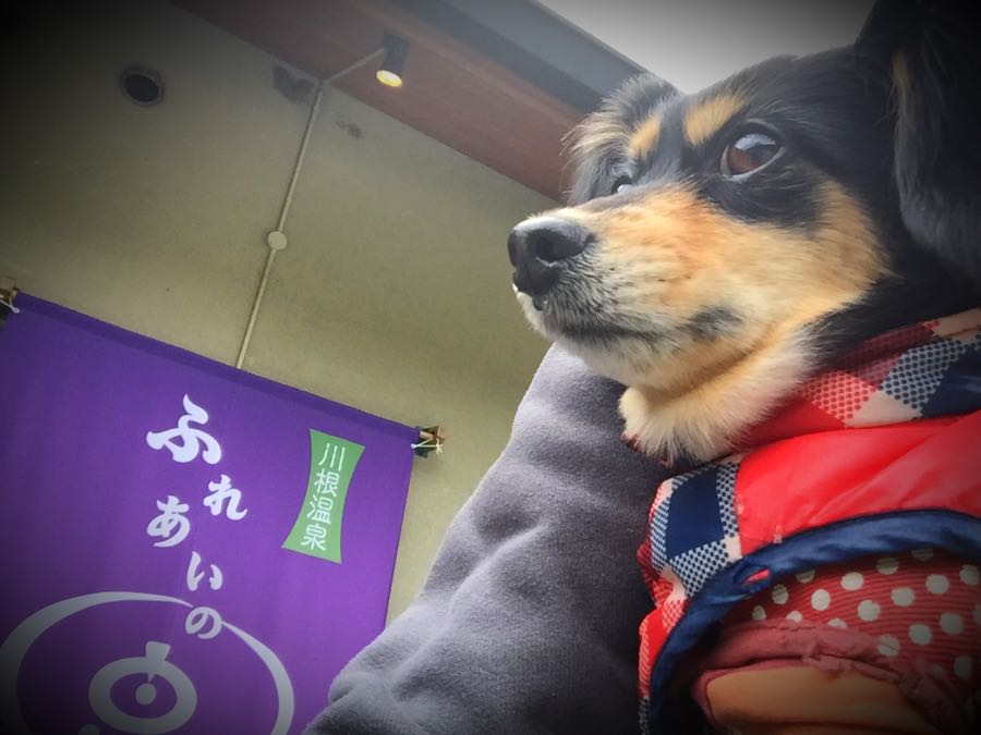 rblog-20190106135402-01.jpg