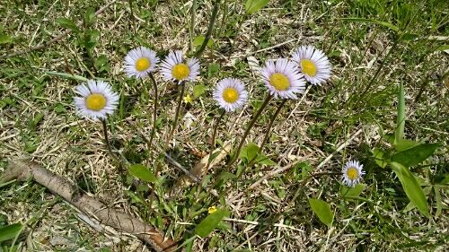 rblog-20160604114042-05.jpg