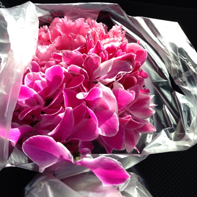 rblog-20130130231723-03.jpg