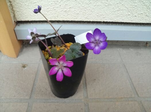rblog-20140302181120-04.jpg