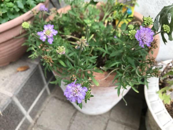 rblog-20180628165323-00.jpg