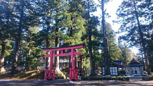 rblog-20181130081420-03.jpg