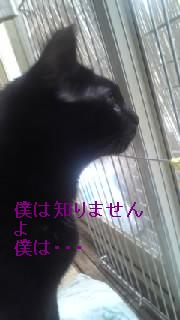 鈴.jpg