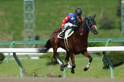 150924-006トーホクノキズナ.jpg