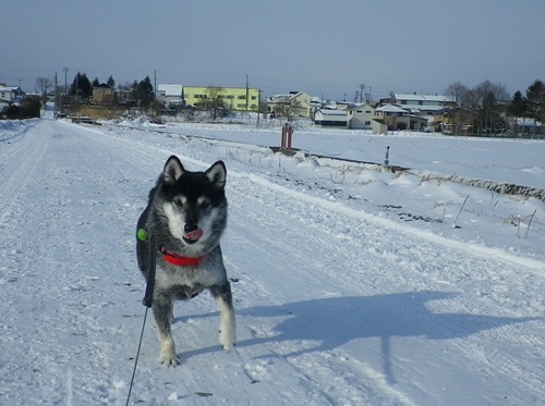 雪満喫中!!