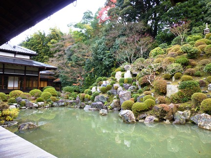 P1000121 - コピー.JPG