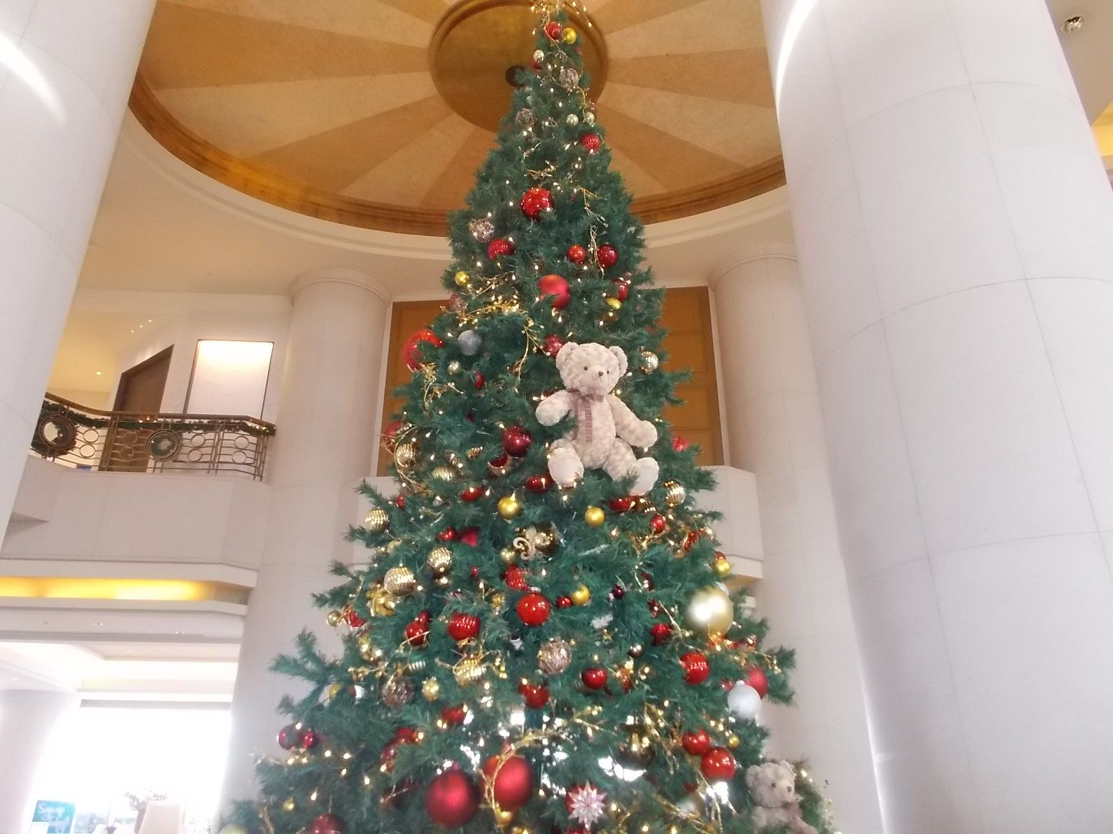 ヒルトン東京お台場 クリスマスツリー 18 11 18 ラスベガス ロサンゼルスの旅 楽天ブログ