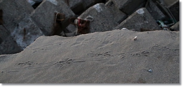 普正寺海岸-26 15.12.9