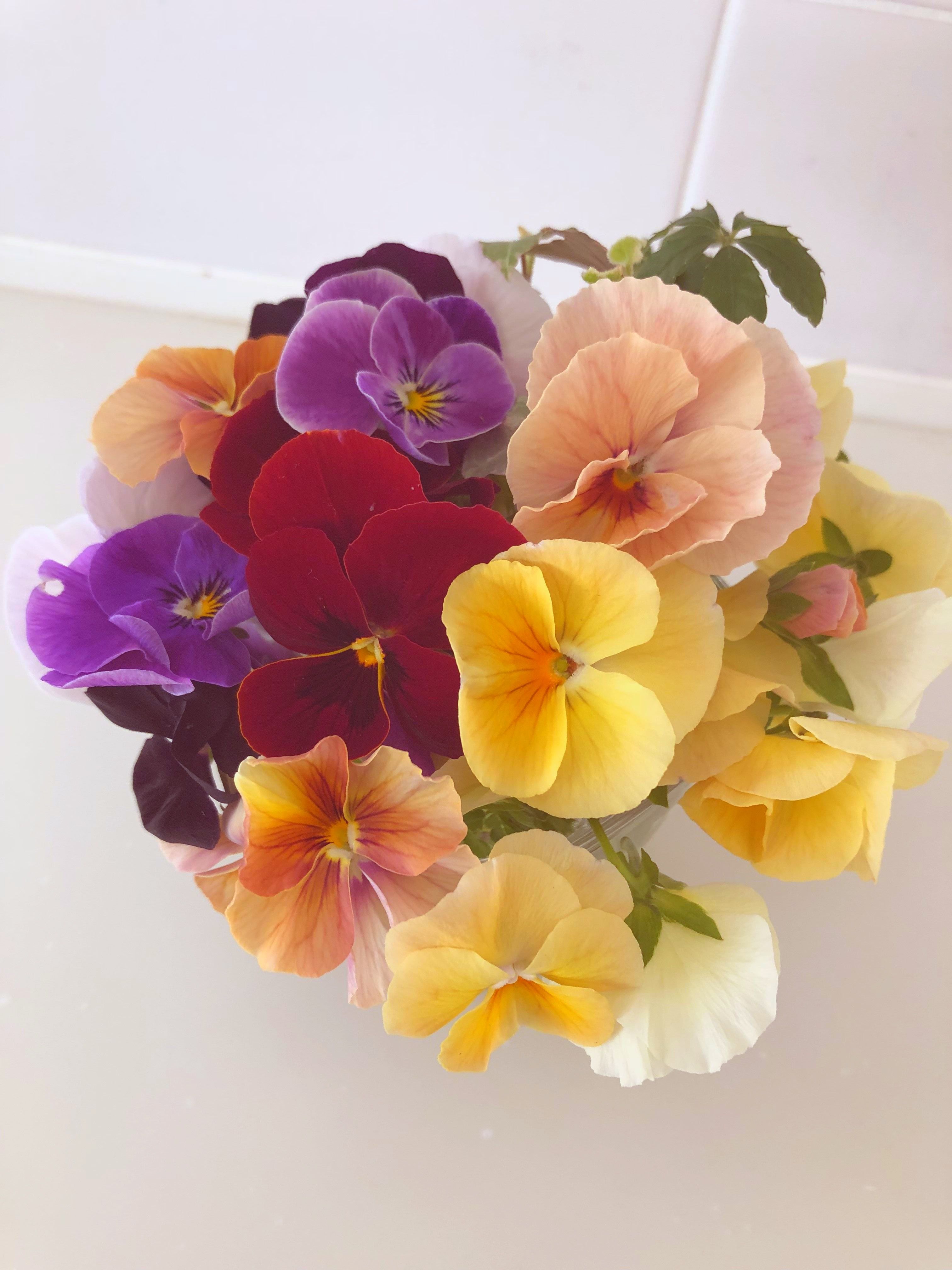 奥様は魔女（サマンサ）のブログ