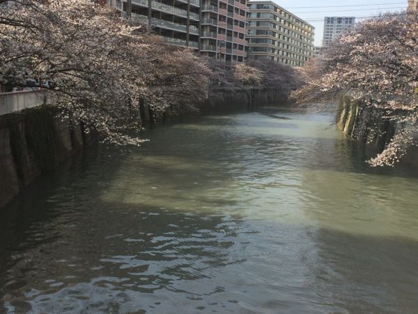 rblog-20140330182520-01.jpg