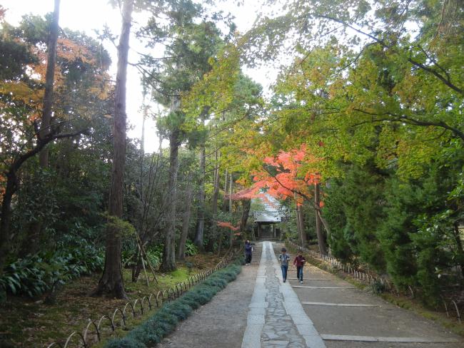 DSCN6510.JPG