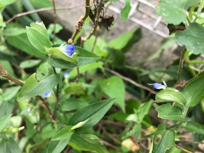rblog-20180928162206-08.jpg