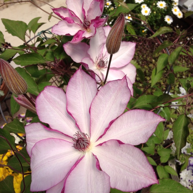 rblog-20130507192319-03.jpg