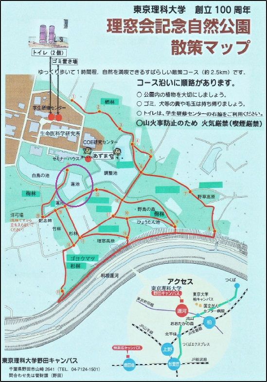理窓会池 ハスの花 | 清多夢くらぶ - 楽天ブログ