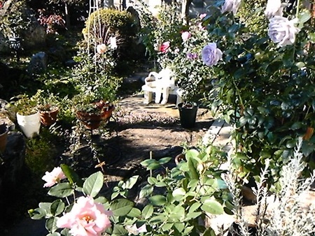 DSC_0027.JPG