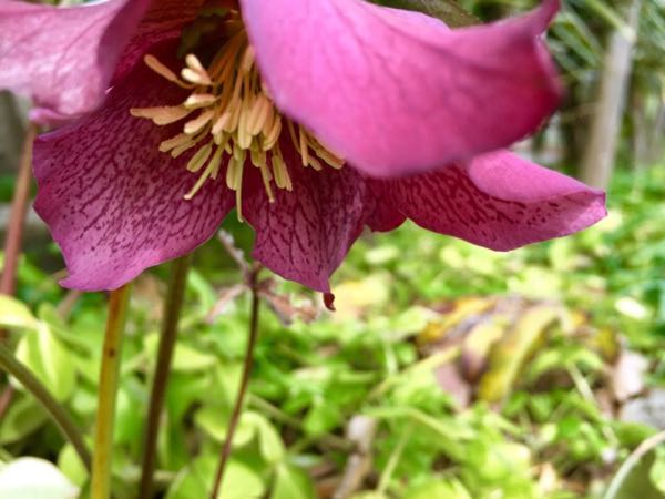 rblog-20160308114453-01.jpg