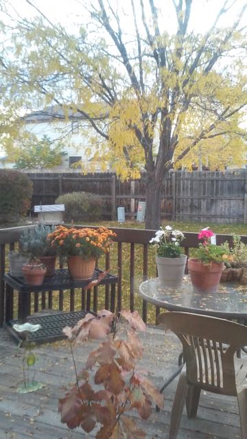 20141023_170042.jpg
