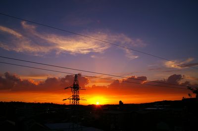 406.jpg