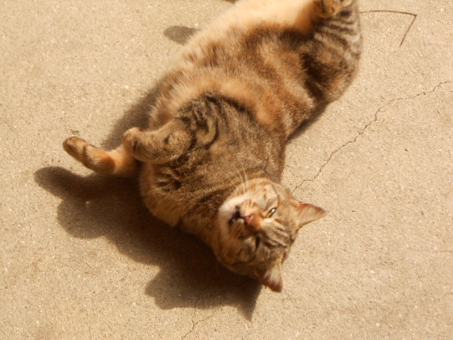 DSCN0975.JPG