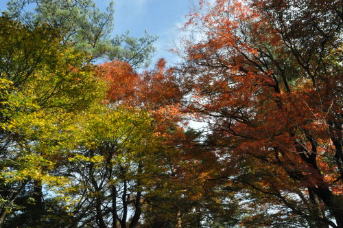 寺家公園