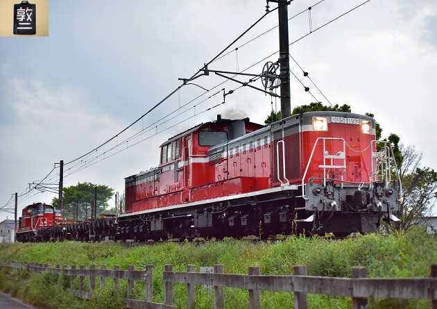 DSC_8128.JPG