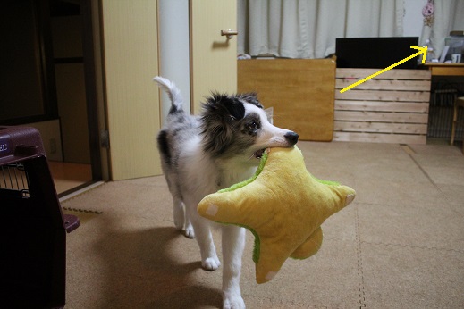 じっ