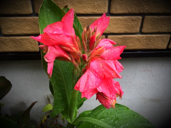 rblog-20150826083145-02.jpg