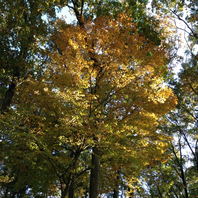rblog-20131120145026-01.jpg