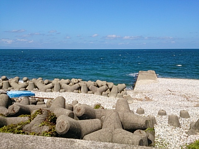 DSC_30105.jpg