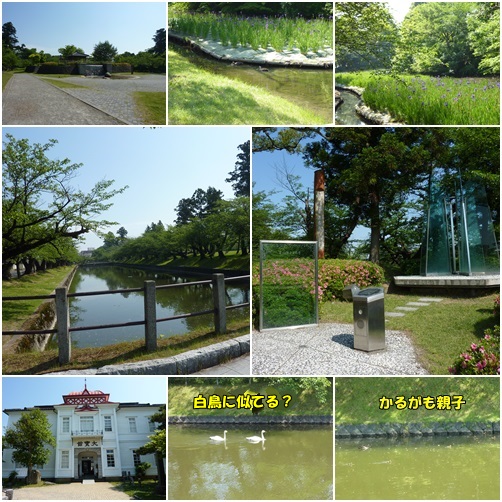 鶴岡公園散策