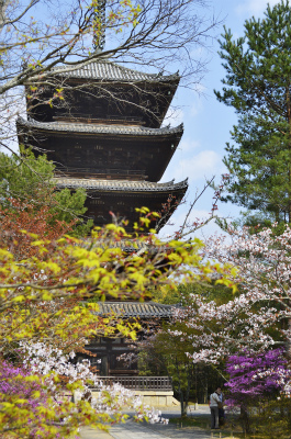 仁和寺5
