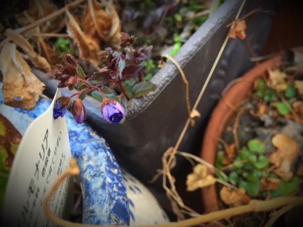 rblog-20160225160708-01.jpg