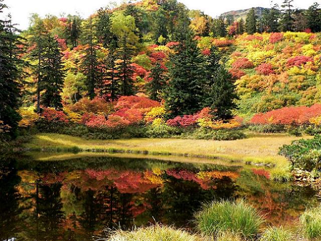 高原温泉滝見沼