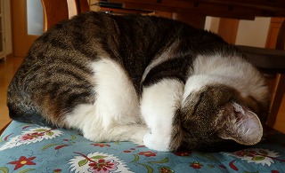 P1130580-ass.jpg