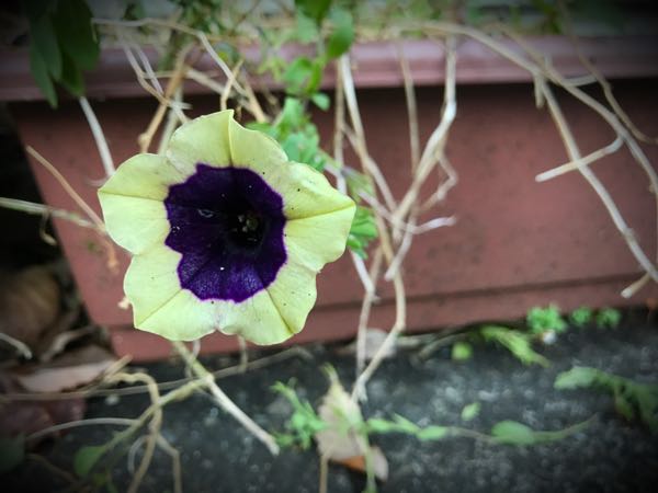 rblog-20161128164610-03.jpg
