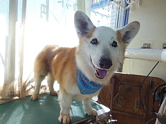 conv0412.JPG