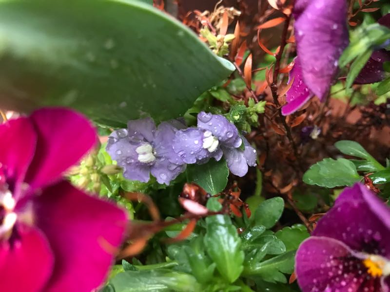 rblog-20190419194143-03.jpg