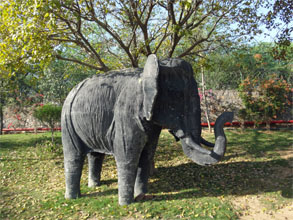 インド110.jpg