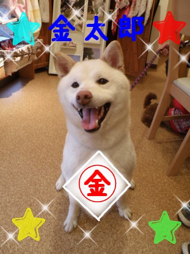 金太郎.JPG