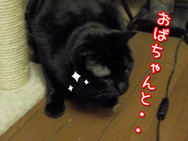 鈴おばちゃんと.JPG