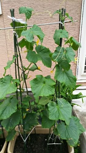 rblog-20180608175632-01.jpg