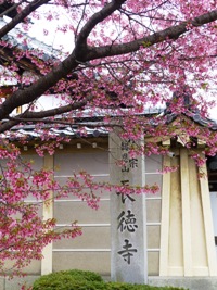 P1080346.JPG