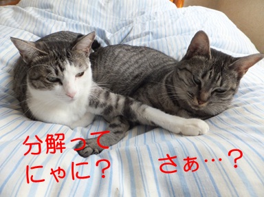 20121116_3.jpg