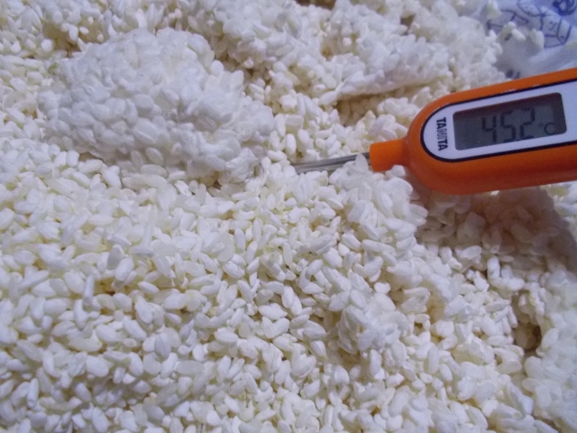 DSCN1245 (640x480).jpg