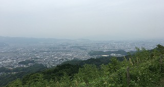 IMG_1429.jpg