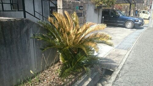 rblog-20180312212818-02.jpg