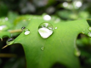 雨粒