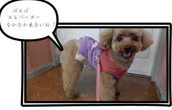 こころ29